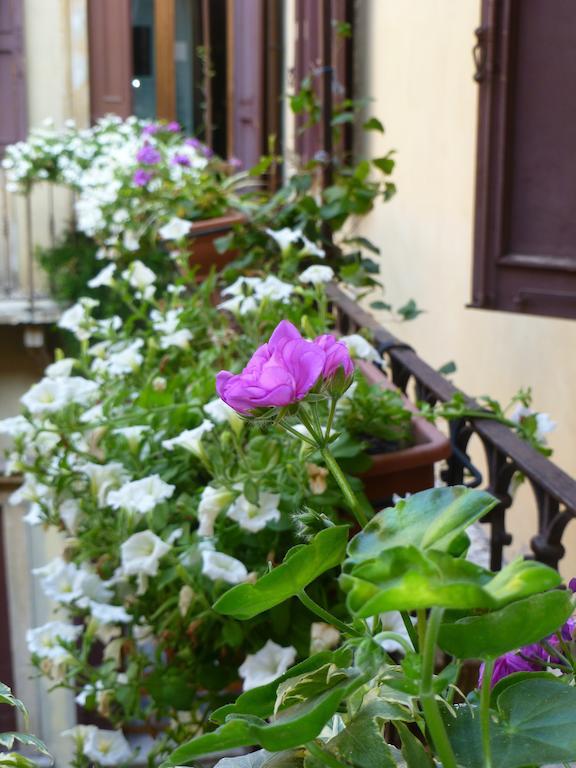 Protezione Della Giovane - Female Hostel Verona Exterior foto